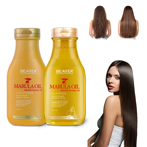 Shampoo